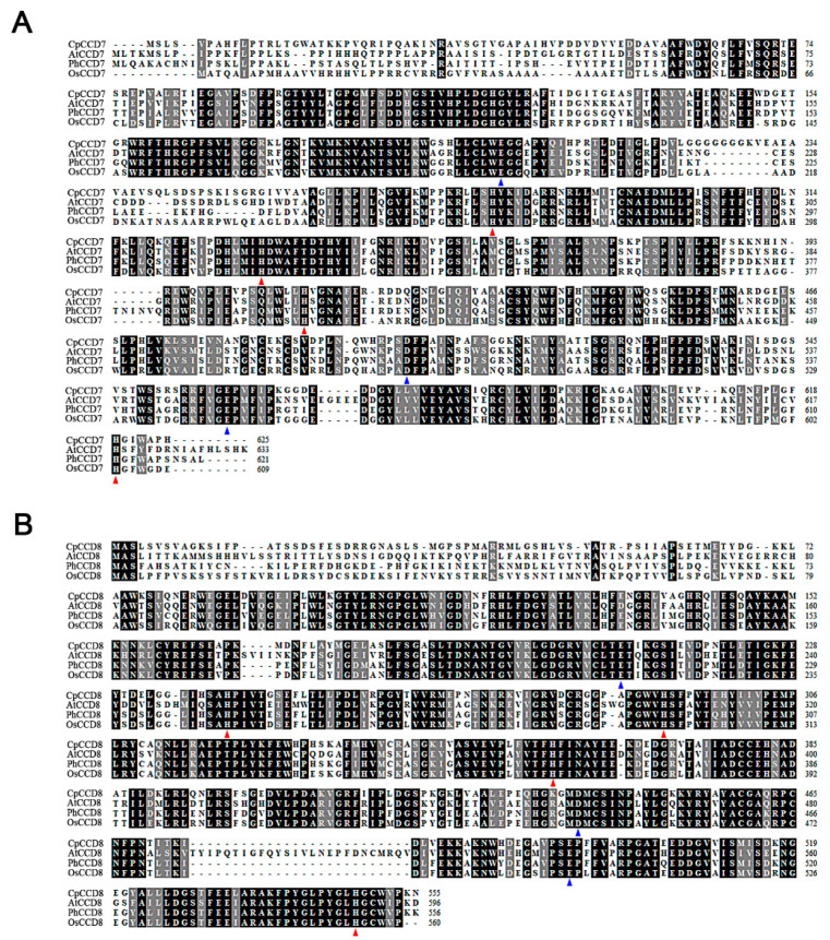 Carotenoid Cleavage Dioxygenase Genes Of Chimonanthus Praecox CpCCD7 And CpCCD8 Regulate Shoot