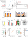 Figure 4. AXL induces purine metabolism and increases PuMB. A, RNA from PC9 cells and AXL-KO cells was sequenced, and differentially expressed genes were subjected to KEGG Pathway Enrichment analysis. B, A waterfall plot depicting fold changes in metabolite abundance in AXL-KO relative to PC9-WT (control) cells. Metabolites were rank-ordered, and specific compounds are indicated (assays performed in triplicates). C, Fractional labeling of IMP in PC9-KO and PC9-WT (control) cells using [amide-15N]glutamine and 24 hours of incubation. D, Fractional labeling of purines determined in AXL-KO and PC9-WT cells incubated for 24 hours with [U-13C]glucose (means ± SD; 3 experiments). E, An AXL expression vector and MYC promoter reporter plasmid were transfected into HEK293 cells. Renilla was used as a control. Luminescence reading was taken 48 hours later. F, PPAT and PAICS promoter reporter plasmids were transfected into HEK293 cells, along with AXL and MYC vectors. Luminescence readings (means ± SD; 3 experiments) were normalized to a GAPDH reporter. G, PC9 cells were treated with osimertinib (1 μmol/L) or DMSO for the indicated time intervals. RNA was isolated and subjected to real-time PCR using primers corresponding to the indicated transcripts. H, PC9 cells were either untreated or treated for 9 days with TKIs at the indicated concentrations. Control cells were treated with DMSO. The indicated proteins were detected using immunoblotting. Tubulin served as the gel loading control. I, PuMB was analyzed in the TCGA lung adenocarcinoma data set (n = 506 patients) and presented versus EGFR's mutational status. J, A cohort of 10 treatment-naïve patients, for whom both tumoral single-cell RNA-seq data and tumor whole-exome sequencing data were available, was analyzed for AXL expression and PuMB. Dots show individual data points and the diagonal represents a regression line. K, The status of AXL expression level and presence of EGFR or RAS mutations in the TCGA data set are shown. L, A core MYC gene-expression signature was analyzed against the level of AXL expression in the cohort of 506 patients. ***, P ≤ 0.001.