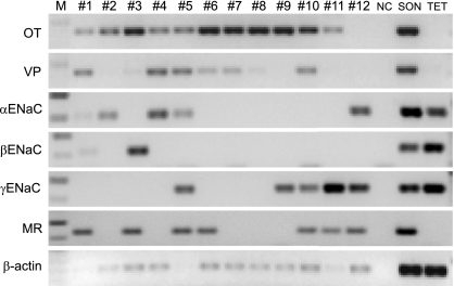 Fig. 10.