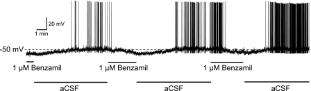 Fig. 12.