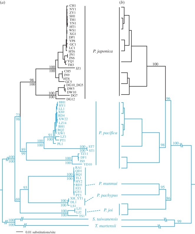 Figure 2.