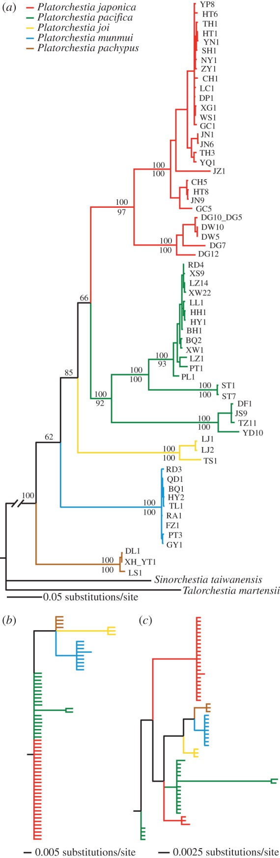 Figure 1.