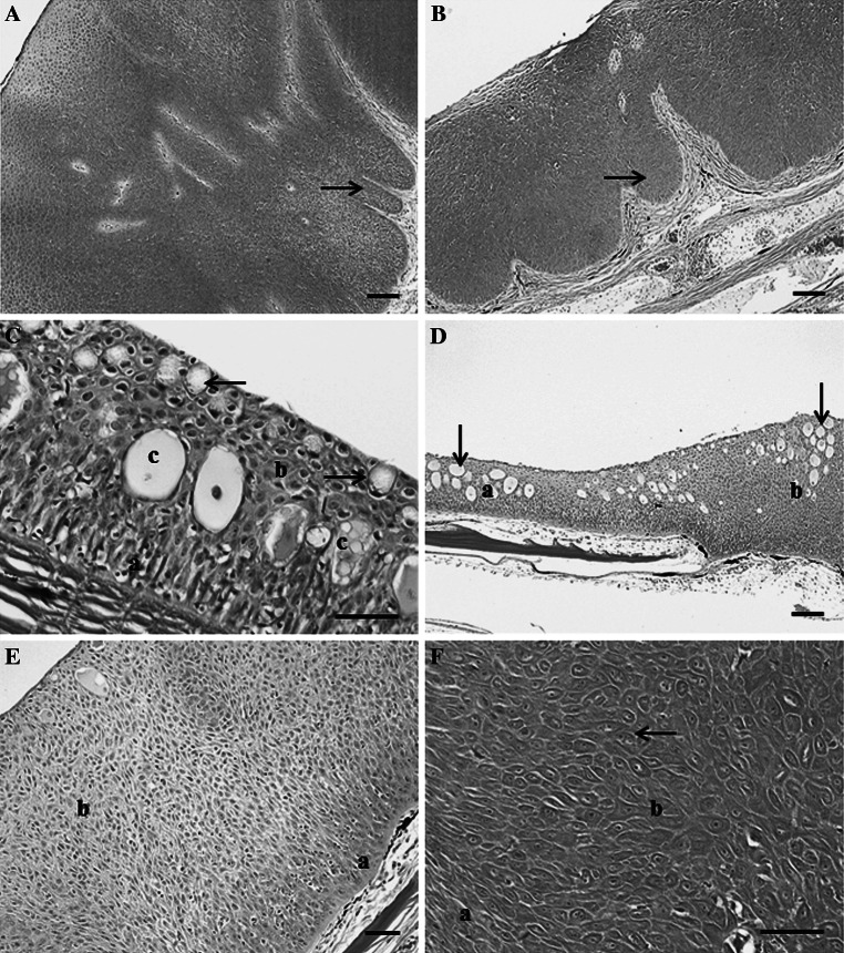 Fig. 5