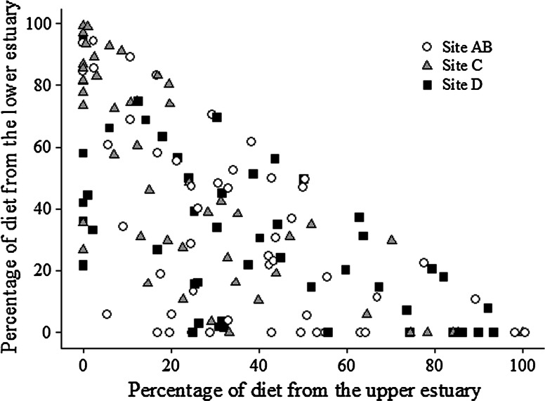 Fig. 8