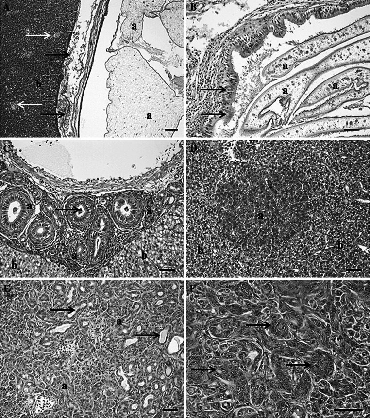 Fig. 6