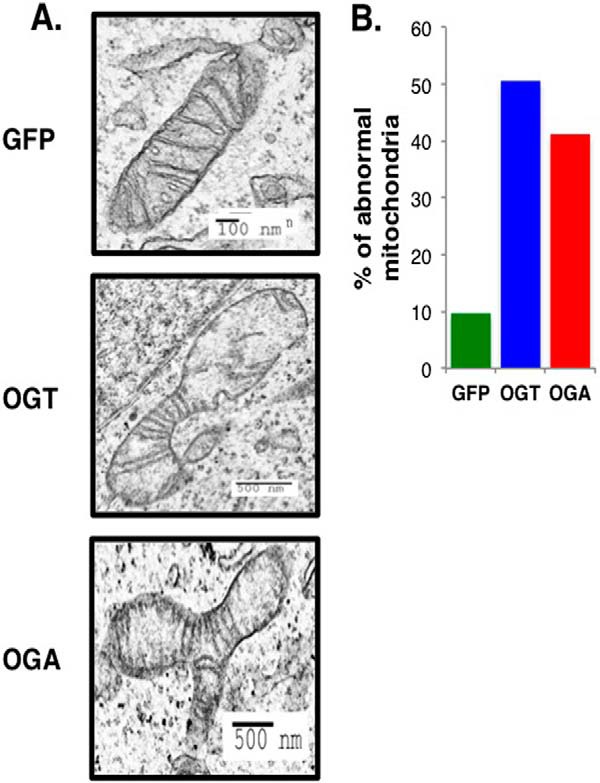 FIGURE 10.