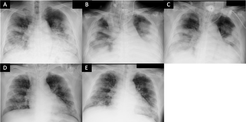 Fig. 3