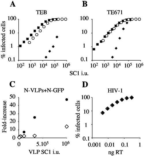 FIG. 1.