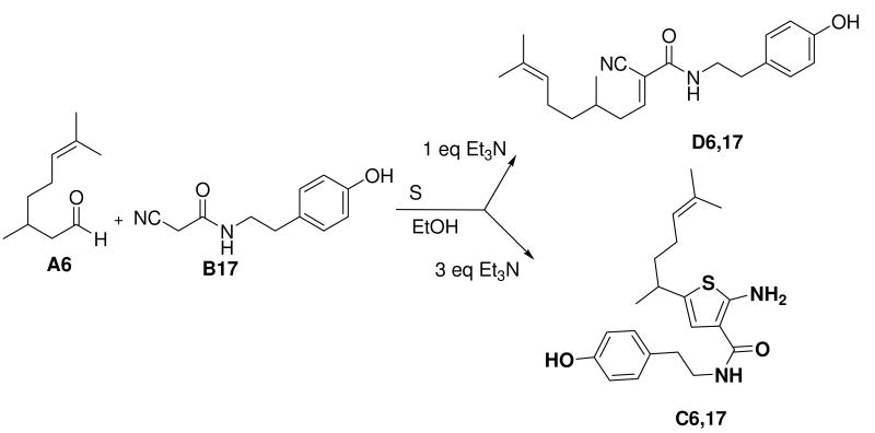 Scheme 3