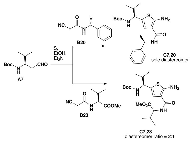 Scheme 4