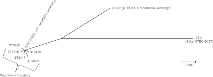 FIG 1