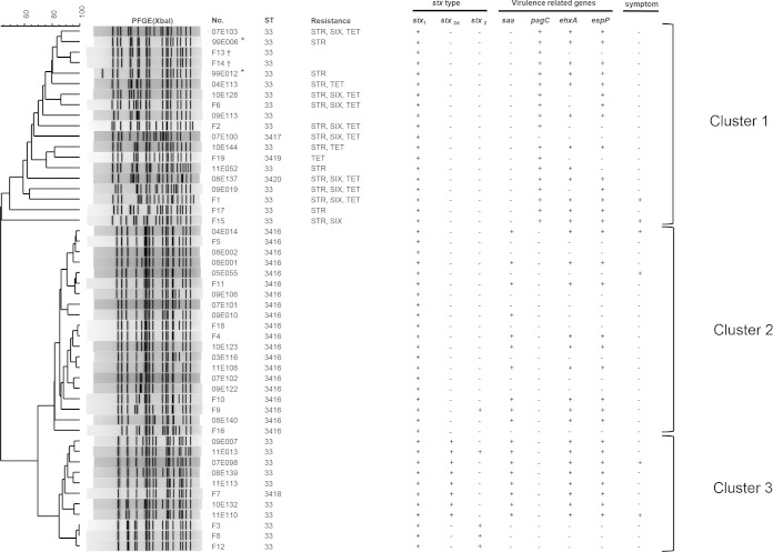 FIG 2