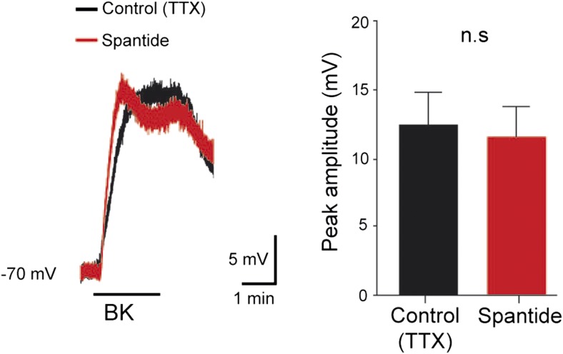 Figure 3—figure supplement 1.