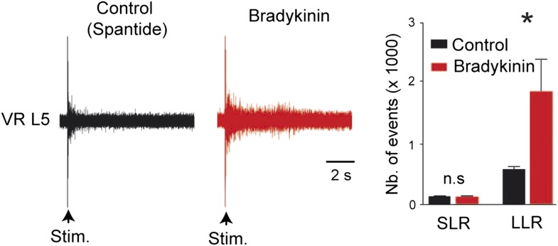 Figure 1—figure supplement 1.