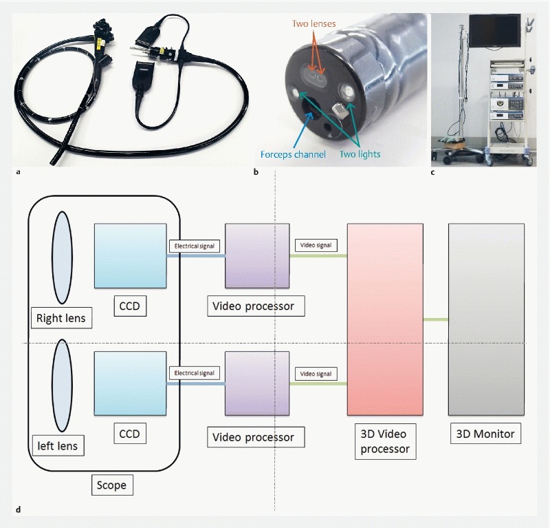 Fig. 2 a