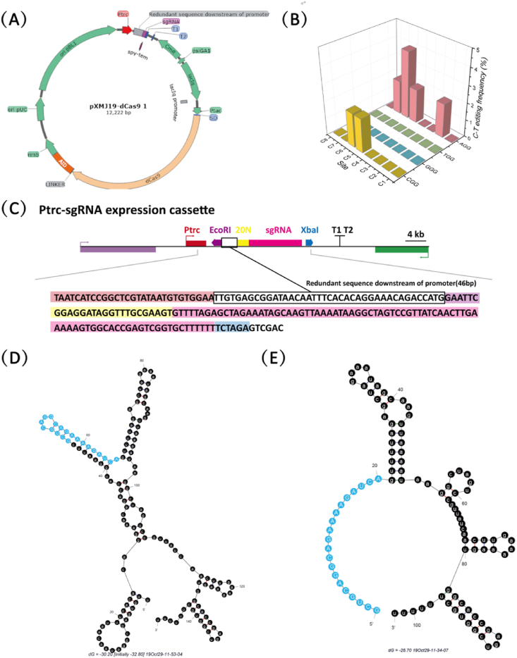 Fig. 1