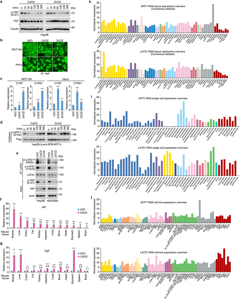 Extended Data Fig. 6