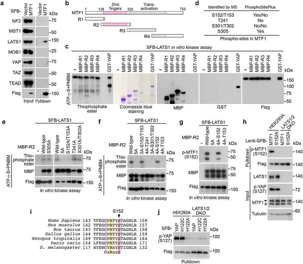 Fig. 4: