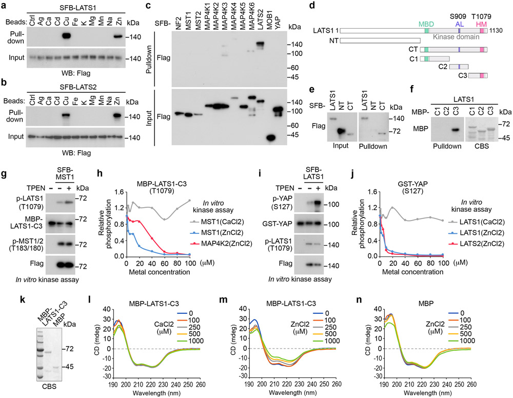 Fig. 8: