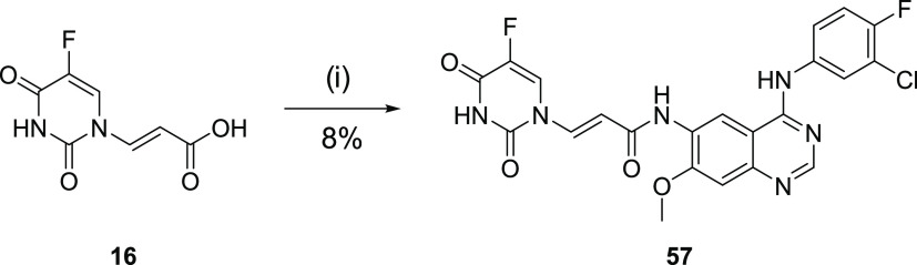 Scheme 6