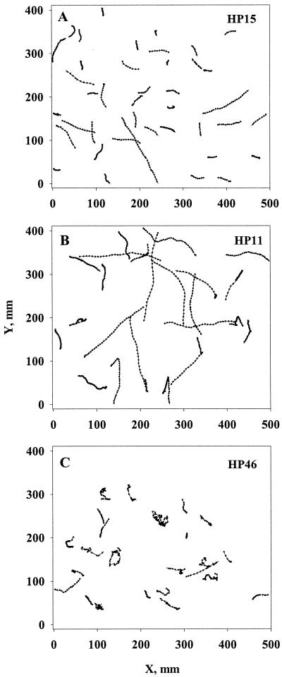 FIG. 1.