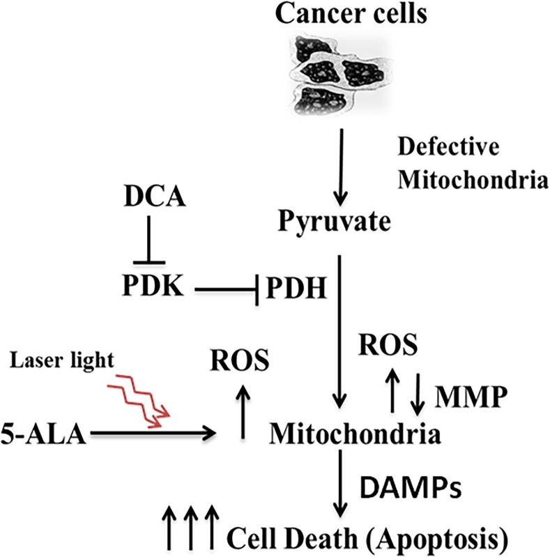 Fig 10