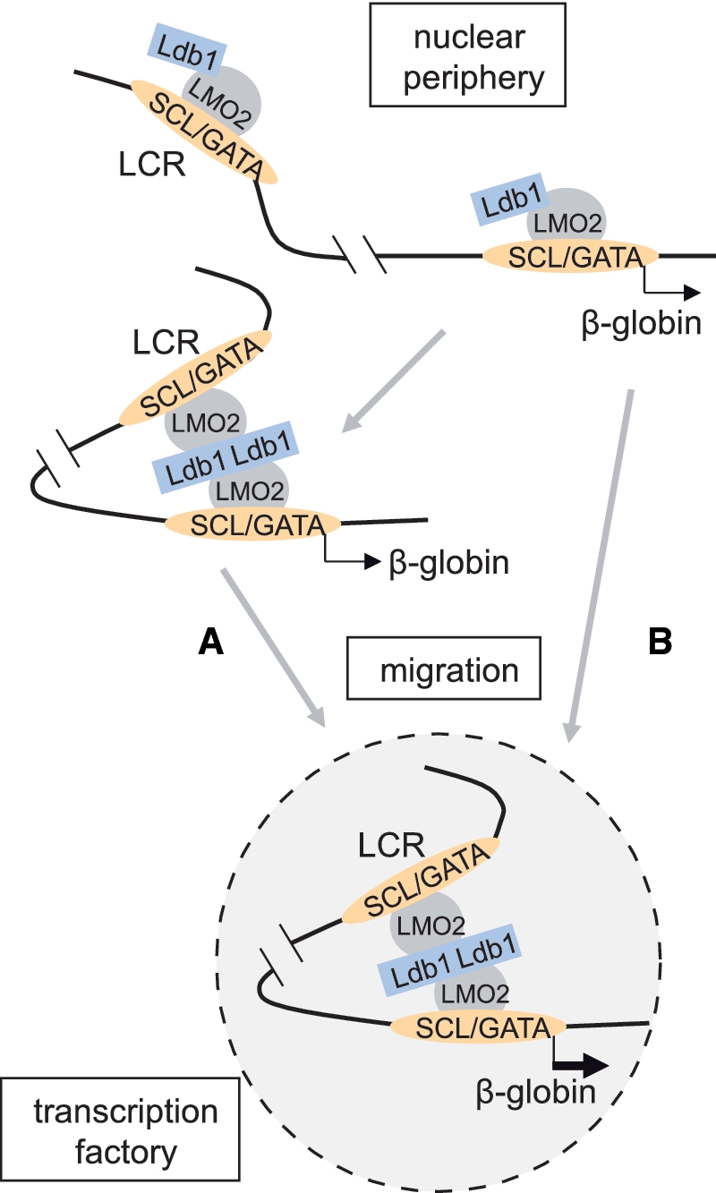 Figure 2: