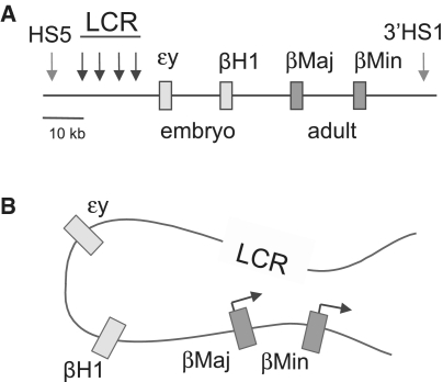 Figure 1: