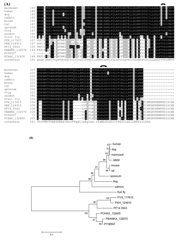 Fig. (2)