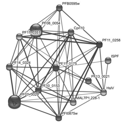 Fig. (5)