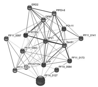 Fig. (3)