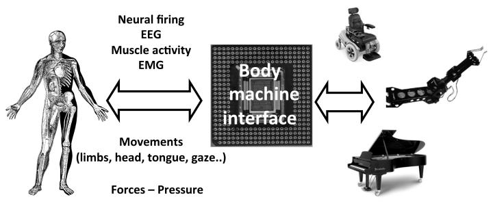 Figure. 1