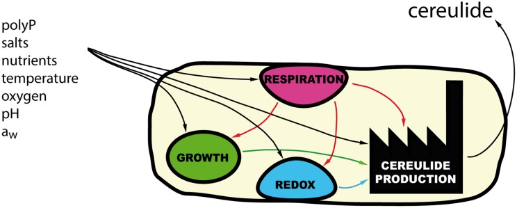 FIGURE 3