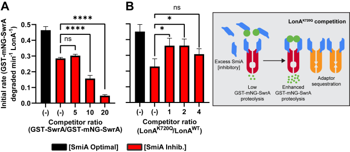 Figure 5