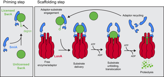 Figure 9