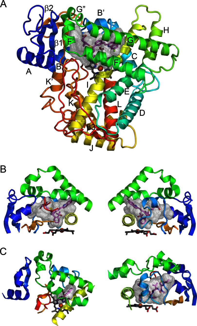 FIGURE 1.