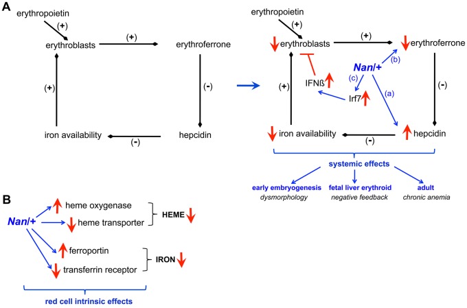 Fig. 7.