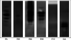 FIG 3