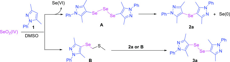 Scheme 3