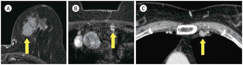 Fig. 9