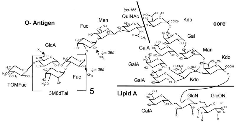 FIG. 4