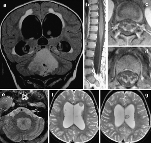 Fig. 9