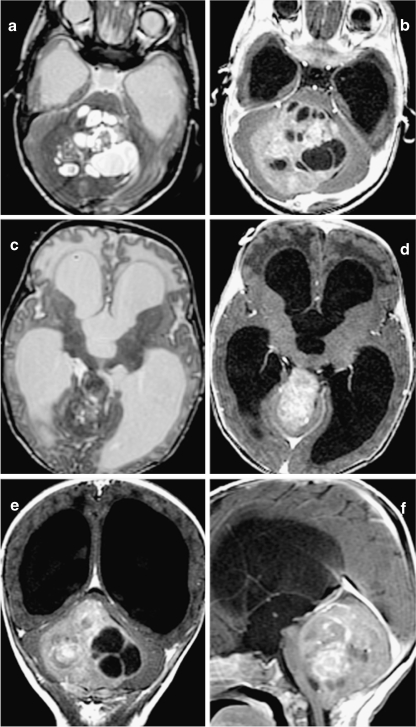 Fig. 7