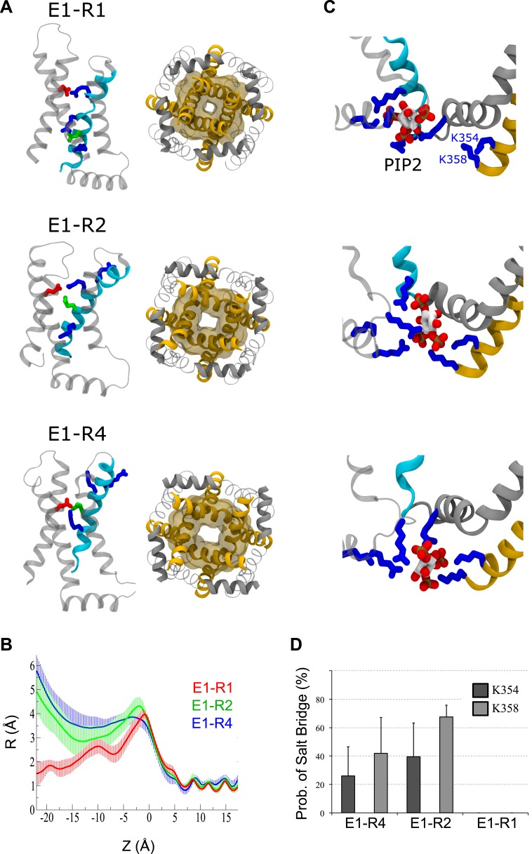 Figure 1—figure supplement 3.