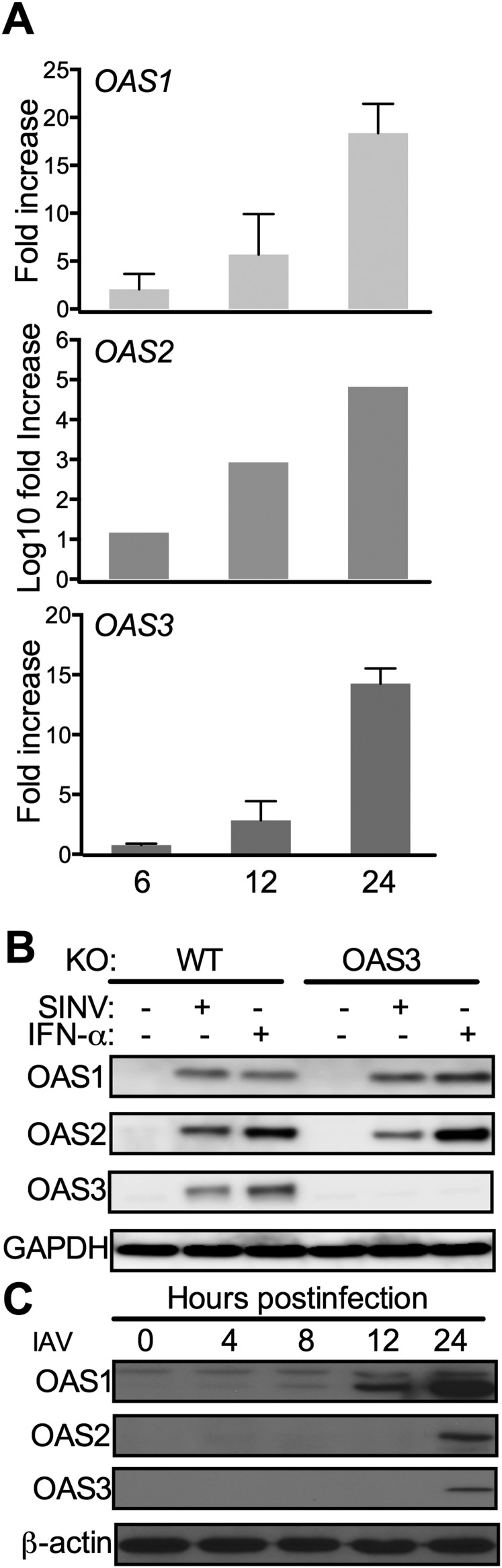 Fig. S3.