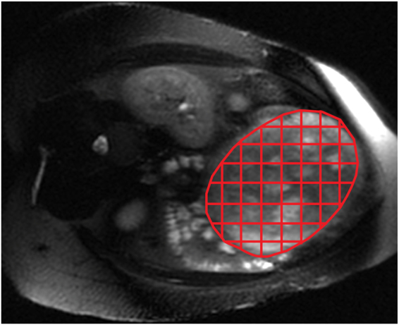 Figure 7