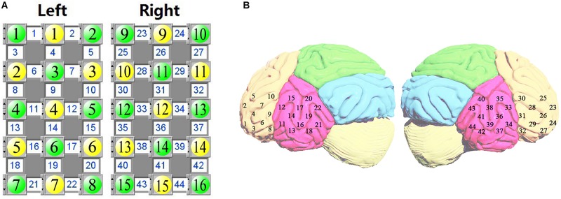 FIGURE 1