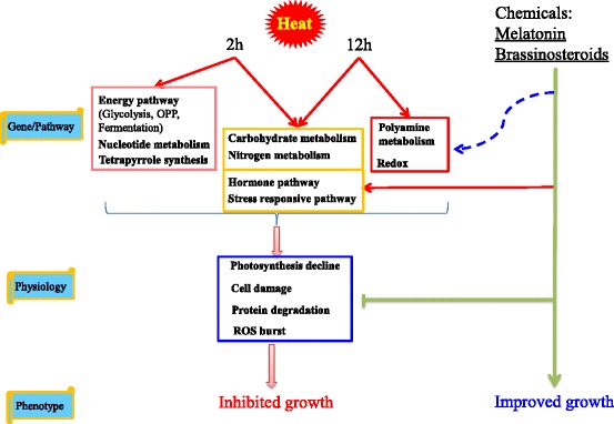 Fig. 11