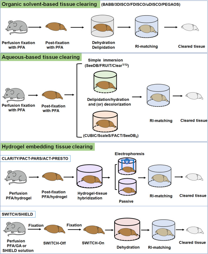 FIGURE 3