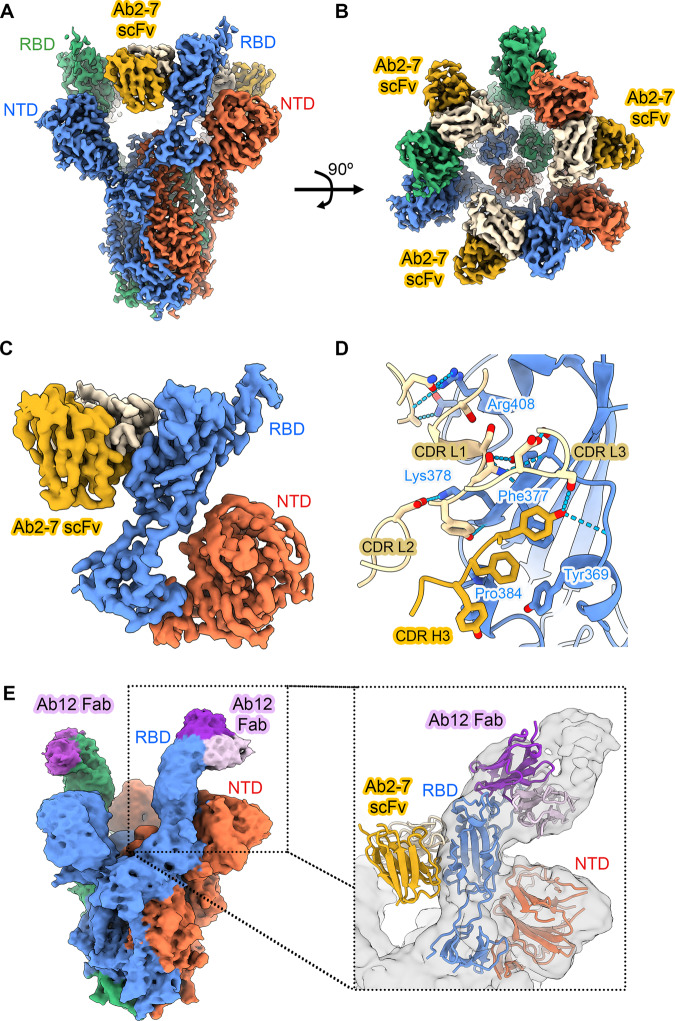 Fig. 2